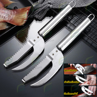มีดกระเพาะปลาสแตนเลสสามในหนึ่งเดียว เครื่องกำจัดเกล็ดปลาในครัวเรือน มีดเกล็ดปลา เครื่องมือฆ่าปลา