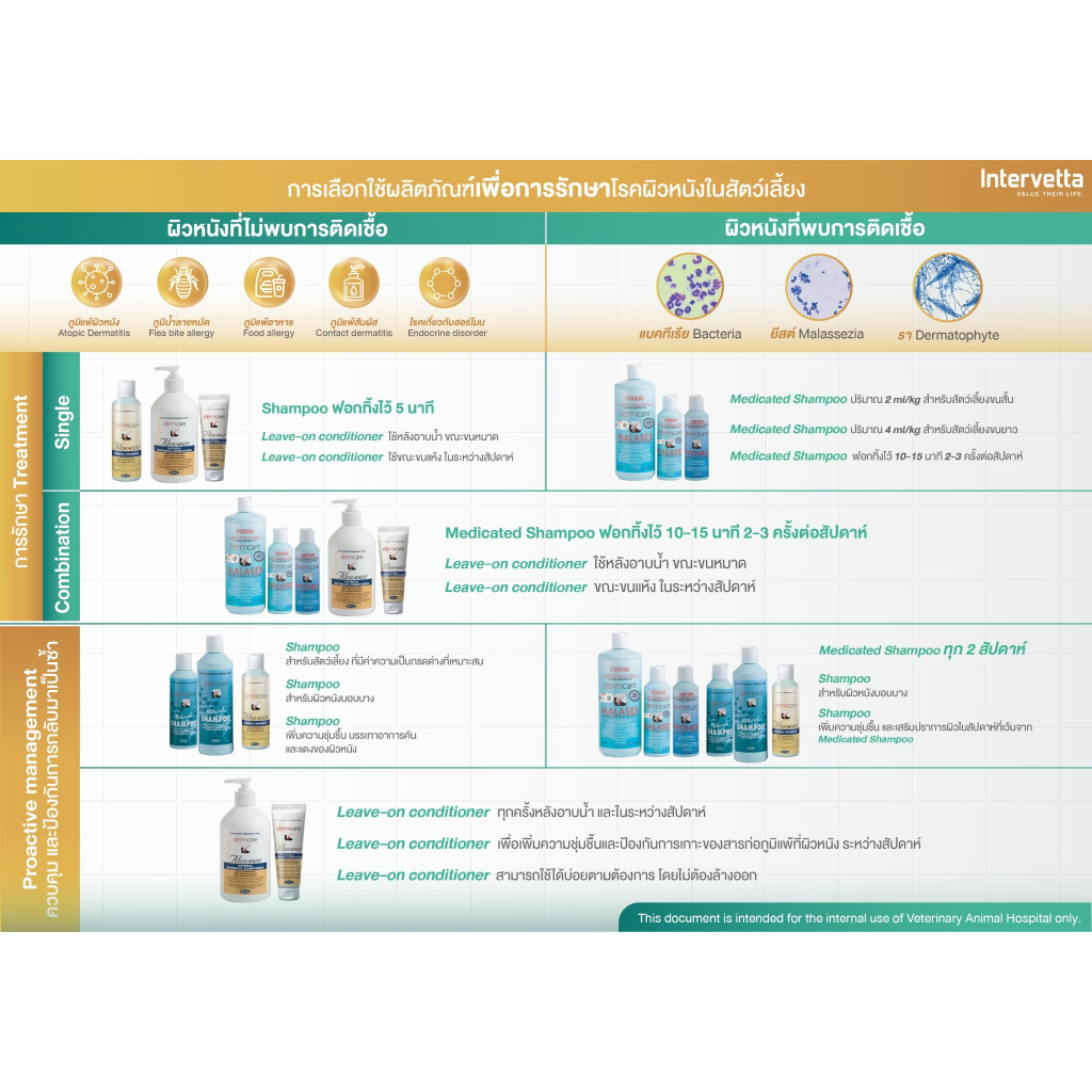 รูปภาพ 8