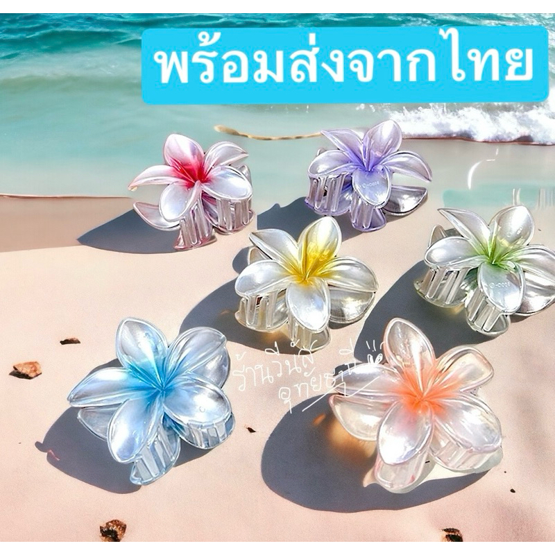 [พร้อมส่งทันที] กิ๊ฟดอกไม้ งานยอดฮิต **กิ๊ฟฮาวาย สีมุข** กิ๊ฟเที่ยวทะเล สงกรานต์ ลอยกระทง