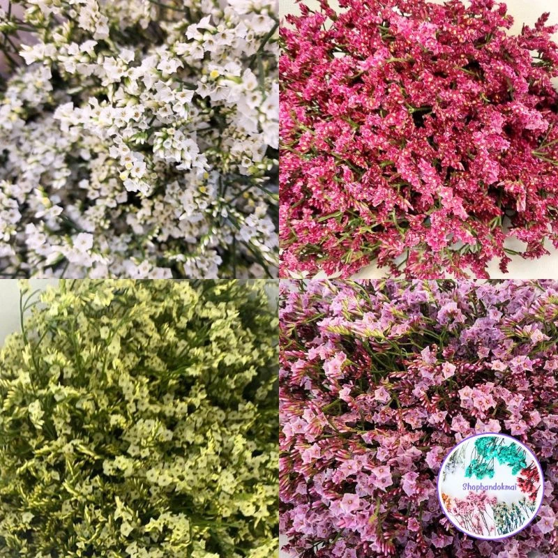 ดอกสุ่ย ดอกไม้แห้ง มีหลายสีสูง30ซม.พร้อมส่ง