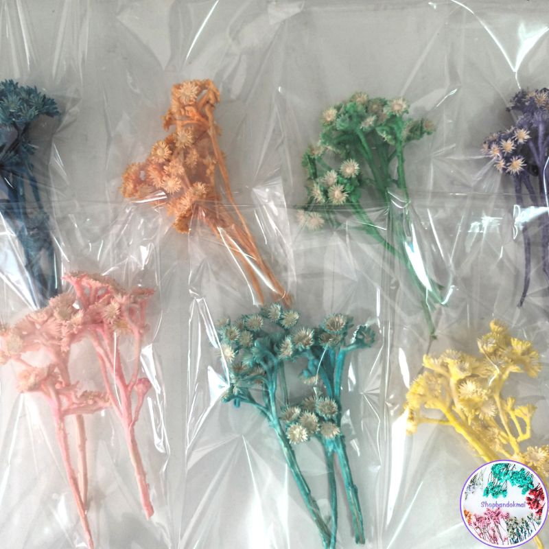 ซองละ20บาทเท่านั้นชมพูทิพย์มีหลายสี