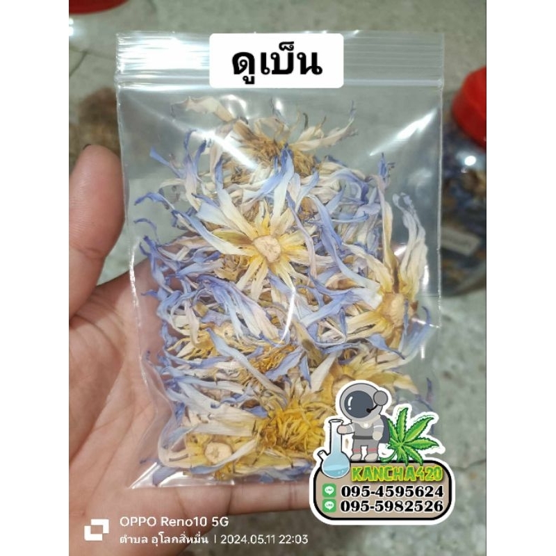 ดอกบัวอบแห้งบัวDaubenyanna (อียิปต์ลูกผสม)ขนาด1กรัมและ5กรัม ( 1 กรัม จะได้ 2-3 ดอกขึ้นอยุ่กับขนาดดอก)ใช้ชงชาเพื่อสุขภาพ