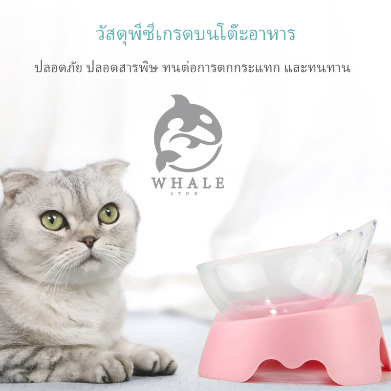 ชามอาหารสัตว์ ทรงเอียง ชามอาหารหมา ที่ใส่อาหารสัตว์เลี้ยง ชามสัตว์เลี้ยง อุปกรณ์ให้อาหารสัตว์ เอียง 15 องศา ราคา ถูกที่สุด ดีลบีเคเค แกลเลอรีภาพที่ 2