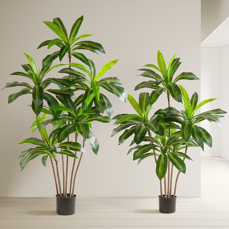 ต้นวาสนา ต้นไม้ปลอมแต่งบ้าน ไม้มงคล แต่งบ้าน คาเฟ่ โรงแรม (พร้อมส่ง)Plant-L(NAS)