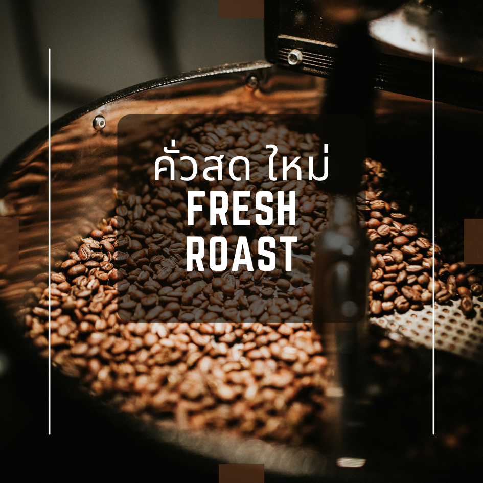 เดอะคัปป้า กาแฟดริปรวม 5 แหล่งปลูก แพค 5 คลาสสิค | The Cuppa Drip Coffee 5 Regions Classic packaging - รูปที่ 3