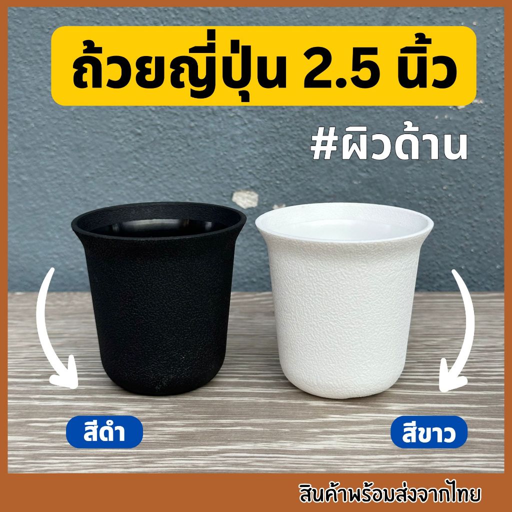 กระถางถ้วยญี่ปุ่น2.5นิ้ว กระถางทรงญี่ปุ่น กระถางถ้วยสูง กระถาง2.5นิ้ว  กระถางแคคตัส กระถางกระบองเพชร