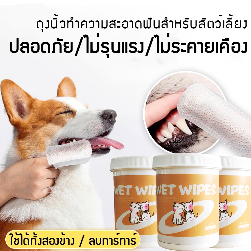 Jst ผ้าเช็ดทำความสะอาดฟันสัตว์เลี้ยง ทำความสะอาดฟัน ในขวด50ชิ้น สัตว์เลี้ยงแปรงฟัน ดับกลิ่นปาก ใช้ง่าย