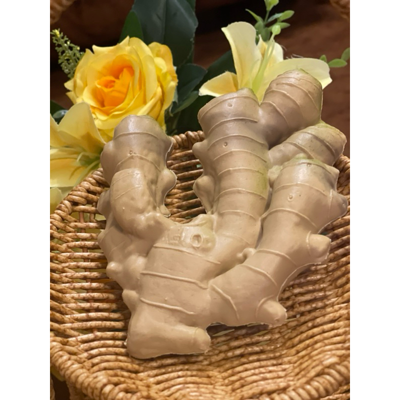 ผักปลอม โมเดลผักผลไม้ ขิงปลอม โมเดลขิง