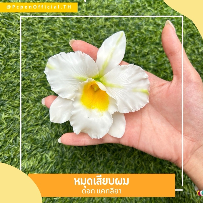 หมุดเสียบผม ดอกแคทลียา สายตาทุกคู่จงมองมา ใส่แล้วเป็นสาวงามที่สุด✨ ราคา ถูกที่สุด ดีลบีเคเค แกลเลอรีภาพที่ 8