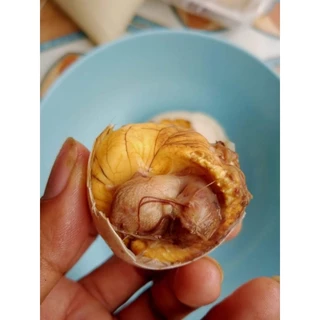 ไข่เป็ด 20 ฟอง สุขแล้ว พร้อมรับประทานอร่อยไม่เป็นขนไม่มีกลิ่นคาวไข่ลูกเป็ด ไข่เป็ดเวียดนามตัวอ่อนไข่ตัว
