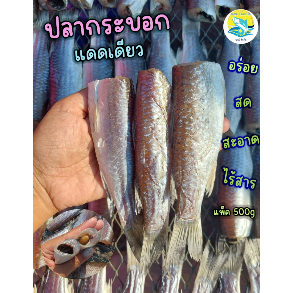 ปลากระบอกแดดเดียว 500กรัม (สูตรเค็มน้อย อร่อยกำลังทาน) สด สะอาด อร่อย ทำใหม่ทุกออเดอร์ ไร้สาร