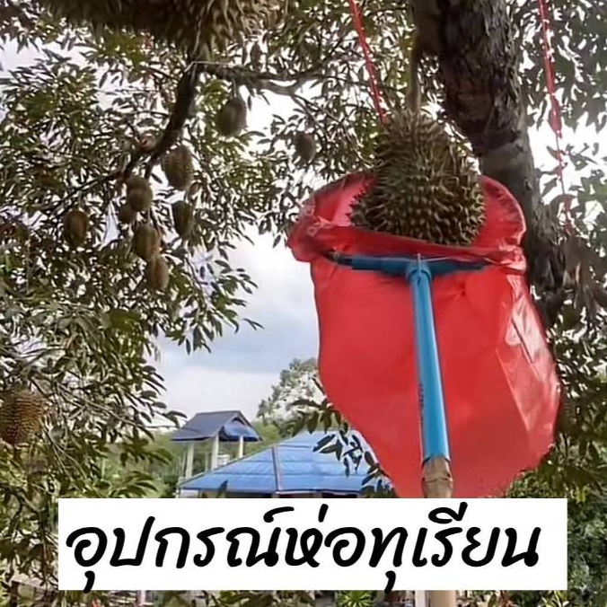 ชุดอุปกรณ์ห่อทุเรียน ถุห่อทุเรียน ใช้งานง่าย ผลิตจากท่อ PVC มาตรฐาน มอก.
