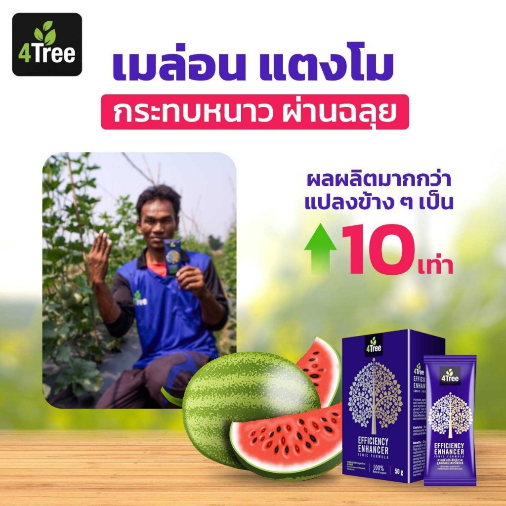 4Tree ​โฟร์​ทรี 1 ซอง ของแท้ ใช้ได้ 15-20 ไร่สารเสริมประสิทธิภาพพืช จากอิสราเอล พืชโตเร็วใช้ได้กับพืชทุกชนิด ของแท้ 100%
