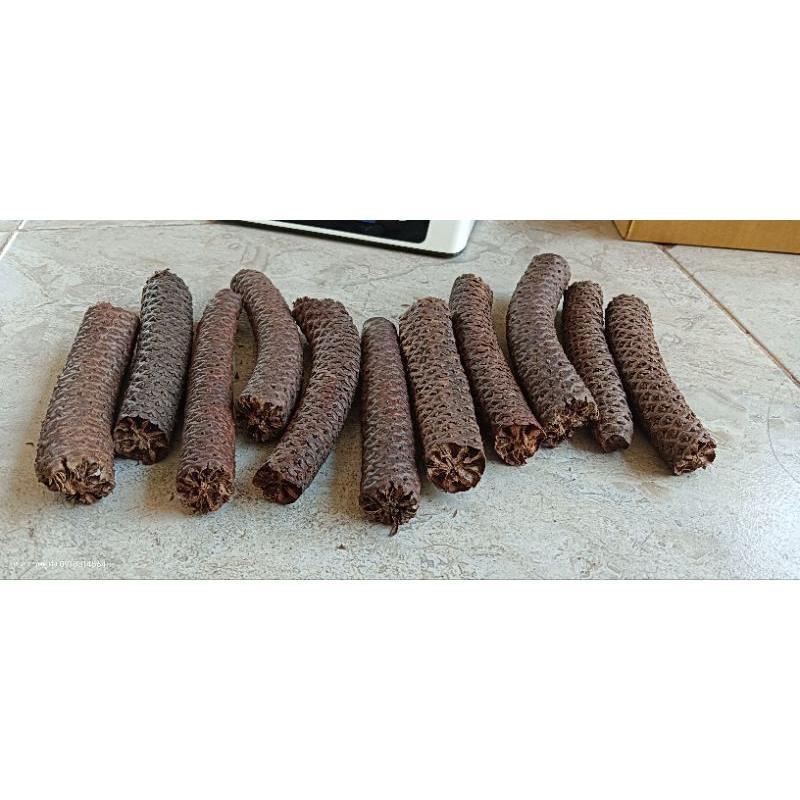 งวงตาลตัวผู้จากต้นตาลไม่จมน้ำจมโคลน 200g++