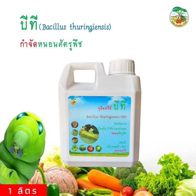 บีที (BT) Bacillus thuringiensis จุลินทรีย์ชีวภาพ กำจัดหนอน เกษตรอินทรีย์ ชีวภัณฑ์ ปลอดภัยต่อคน สัตว์เลี้ยง สิ่งแวดล้อม