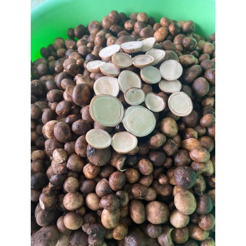 เห็ดเผาะหนังล้างต้มสุกพร้อมทานขนาด500กรัมราคา390บาท