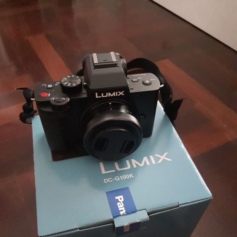 Panasonic lumix g100 camera