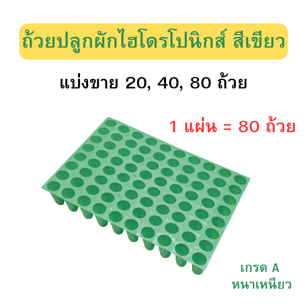 ถ้วยปลูกผักไฮโดรโปนิกส์ สีเขียว แบ่งขาย 20, 40, 80 ถ้วย ( 1 แผ่น = 80 ถ้วย ) เกรด A หนาเหนียว