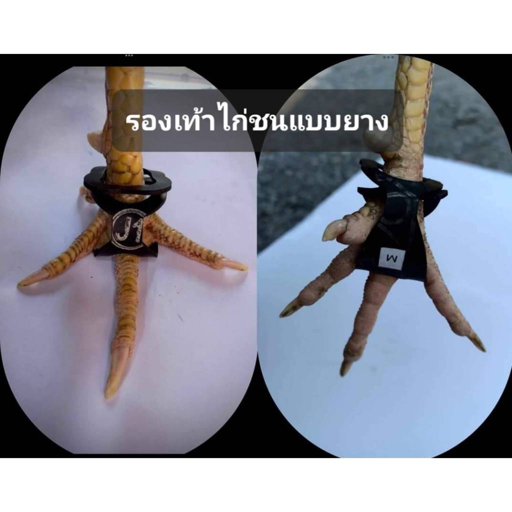 รองเท้าไก่ชนแบบยางป้องกันการบาดเจ็บ สำหรับไก่ชน 1 คู่