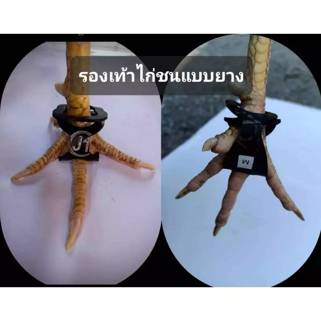 รองเท้าไก่ชนแบบยางป้องกันการบาดเจ็บ สำหรับไก่ชน 1 คู่