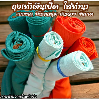 ถุงเท้าลงนา รุ่นพื้นหนานุ่ม ถุงเท้าตีนเป็ด ยาวถึงเข่า ใส่กันหอย ดำนา ผ้ายืด ลุยโคลน กันบาด ถุงเท้า ฟรีไซส์ พื้นฟองน้ำ