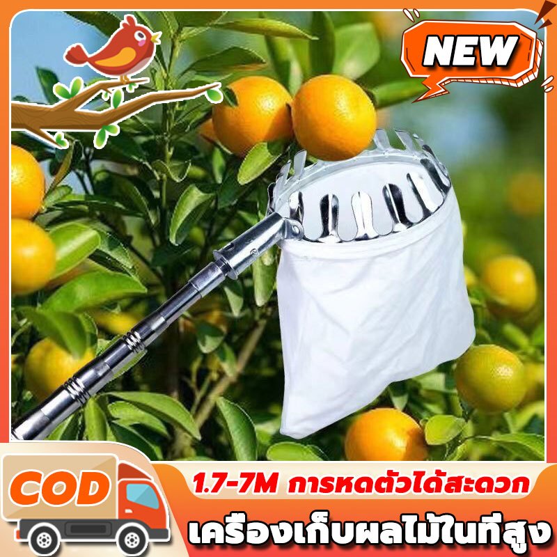 【10ปีก็ไม่พัง!】เครื่องเก็บผลไม้ในที่สูง สอยผลไม้ มืออาชีพ สอยผลไม้ไม่ทำร้ายผลไม้ ยืดหดได้ 1.7m-7m ปลอดภัย และสะดวกสบาย