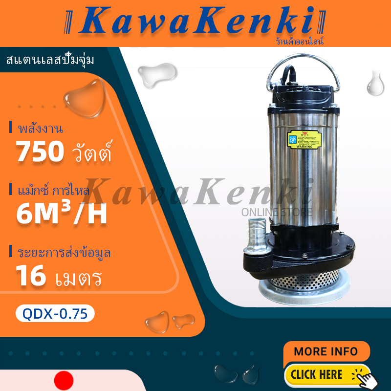 ปั๊มน้ำแบบจมสแตนเลส Kawakenki (ญี่ปุ่น) / ปั๊มน้ำอัตโนมัติ 750W