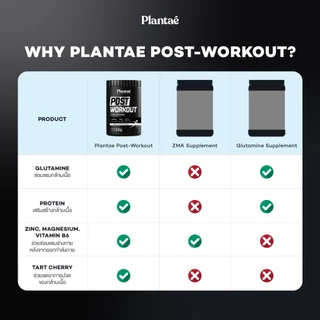 Plantae Performance Set : เซต Pre + Post Workout 1 กระปุก ทานก่อนหลังออกกำลังกาย เวทเทรนนิ่ง คาดิโอ