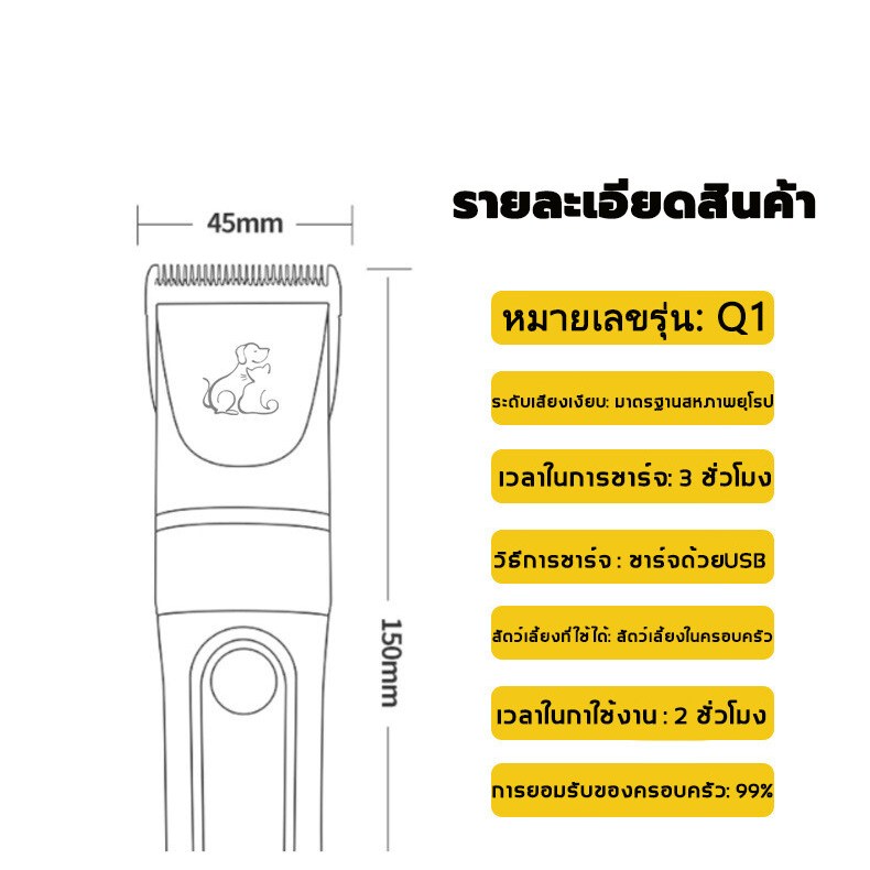 รูปภาพ 7