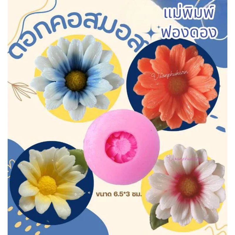 แม่พิมพ์ฟองดอง สำหรับทำขนม อาลัว สัมปันนี ขนมต่างๆ รูปดอกคอสมอส