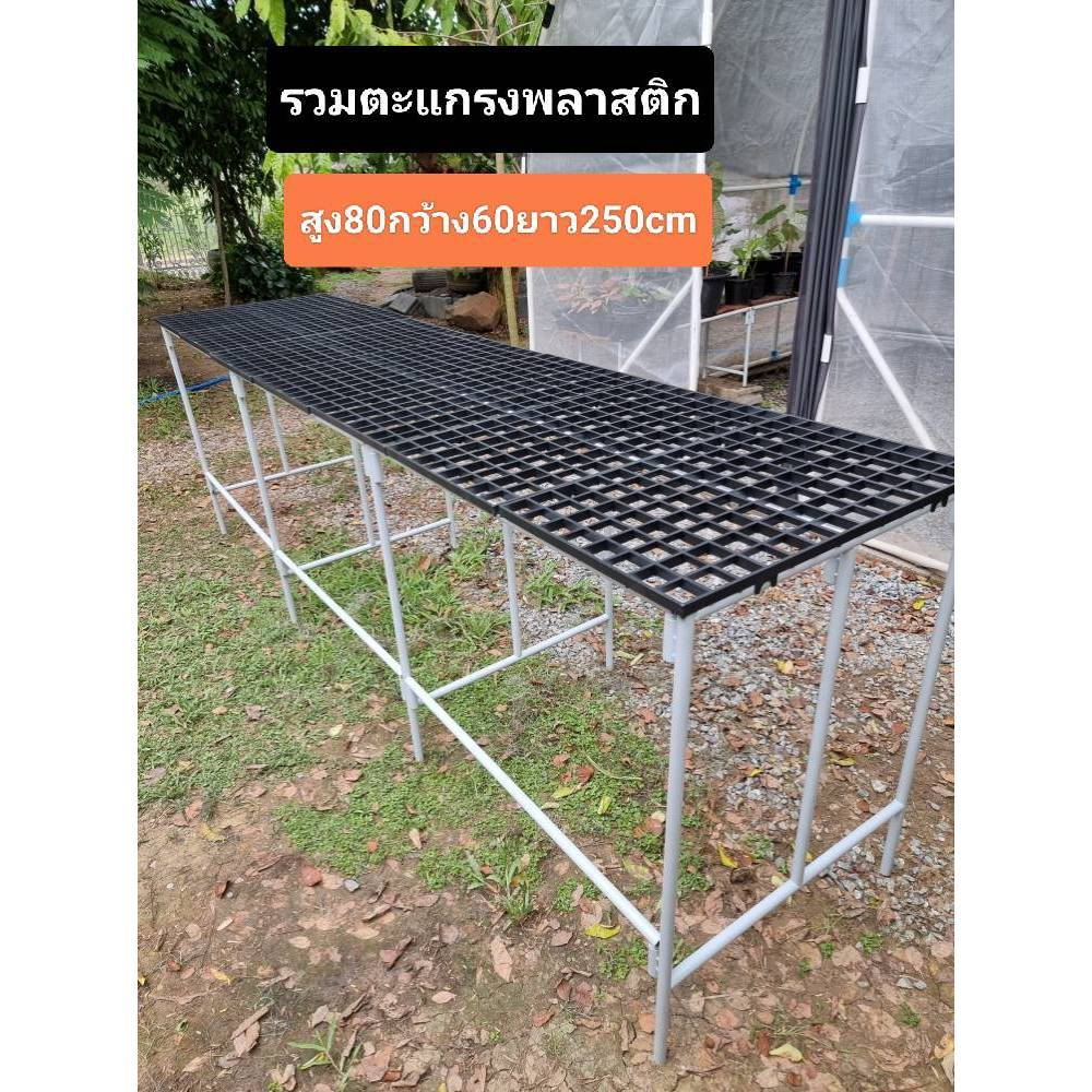 ขาโต๊ะเหล็กชั้นวางเหล็กพร้อมตะแกรงพลาสติกขนาดสูง80cmกว้าง60cmยาว250cm