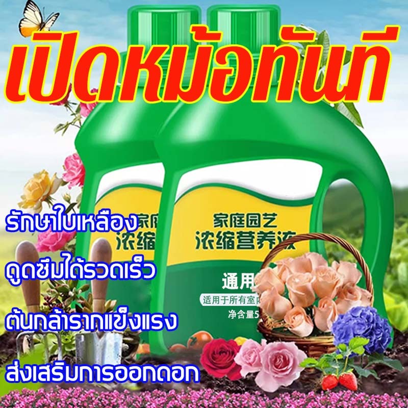 ปุ๋ยน้ำ เร่งโต 5 เท่า เร่งใบ ราก ปุ๋ยกุหลาบ ผงเร่งราก rooter ปุ๋ยเร่งดอก ยา เร่ง ยาเร่งราก