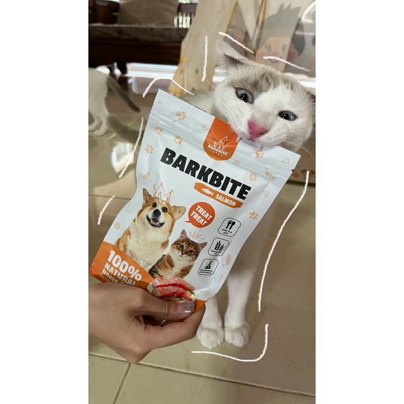 🐟 แซลมอนฟรีซดราย 100% (BarkBite) 🐾 ขนมสัตว์เลี้ยงเกรดพรีเมี่ยม ขนมหมา ขนมแมว