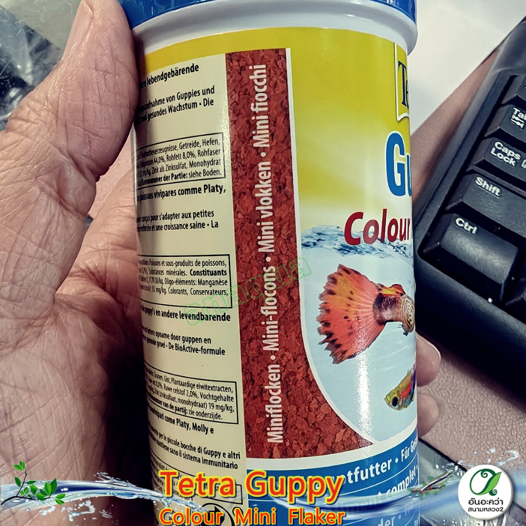 Tetra Guppy Colour Mini Flakes อาหารปลานกยูง เร่งสี ชนิดแผ่น สูตรใหม่ - รูปที่ 2