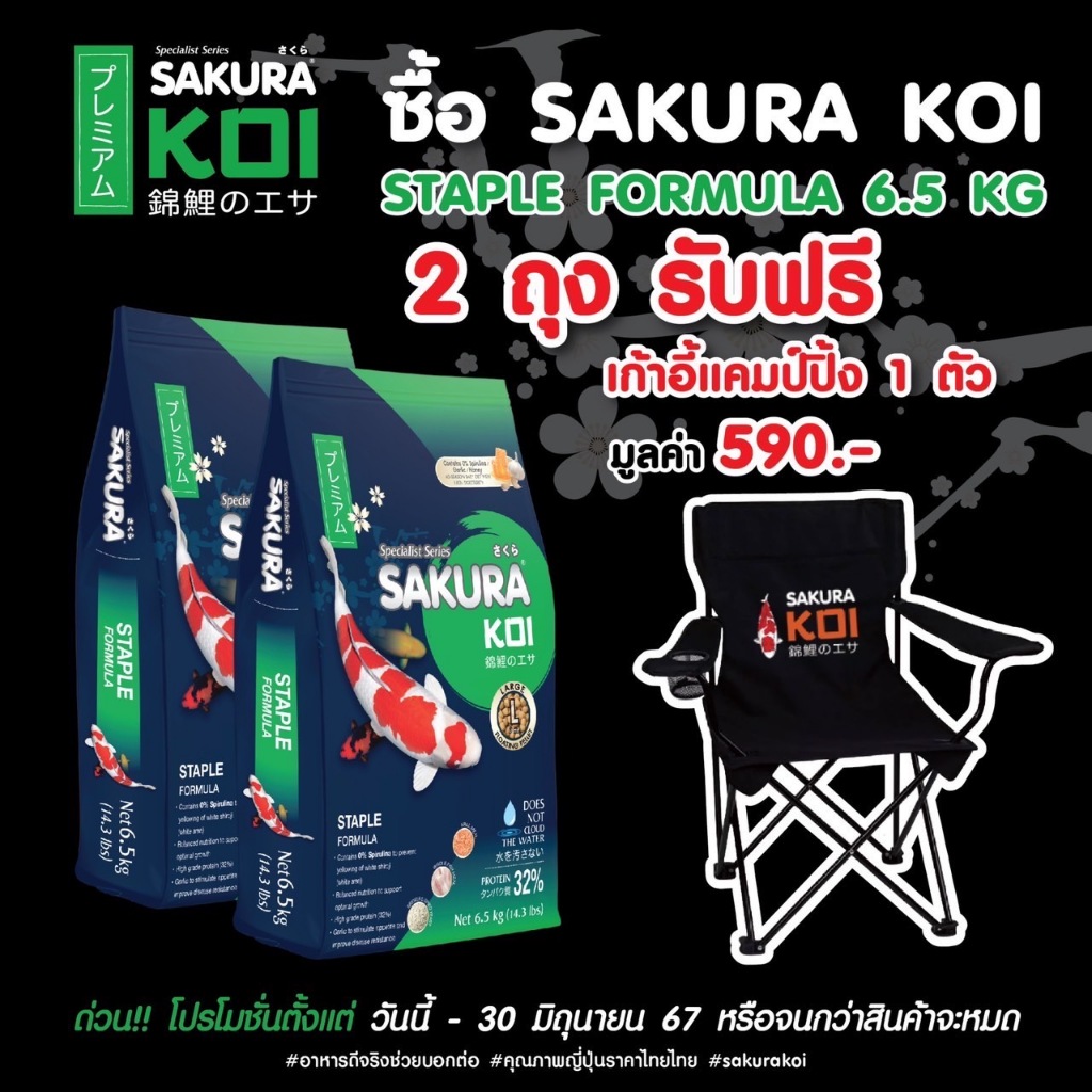 กดซ์้อ2ถุงฟรีเก้าอี้ ทุกสูตร อาหารปลาคาร์ฟ Sakura Koi (ซากุระ โค่ย) Staple Formula สูตรสมดุล รักษาสมดุลปลา 6.5 กก