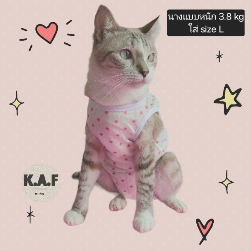 รูปภาพ 5