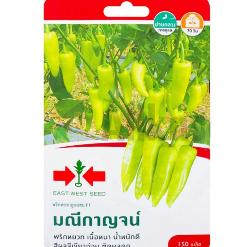 เมล็ดพริกหยวก F1 มณีกาญจน์