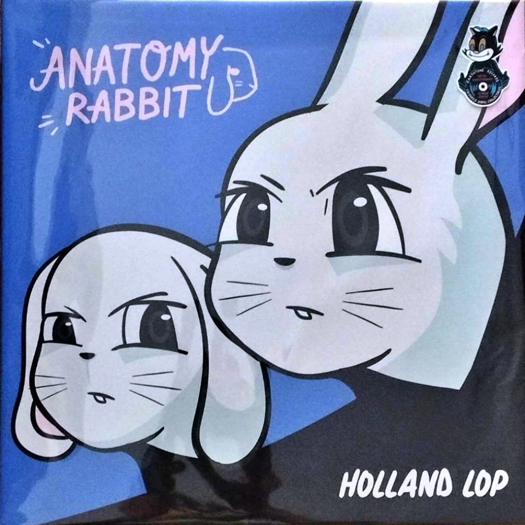Anatomy Rabbit - Holland Lop (White&Blue Mixed Vinyl)