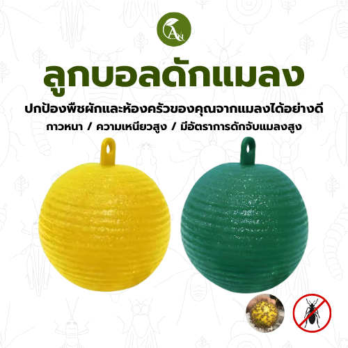 ลูกบอลดักจับแมลง ลูกฟรุตฟลายบอล จับแมลงหวี่ แมลงวัน แมลงทั้งหลายที่รบกวนสวนและบ้านของคุณ กำจัดได้ด้วย ลูกบอลดักจับแมลง