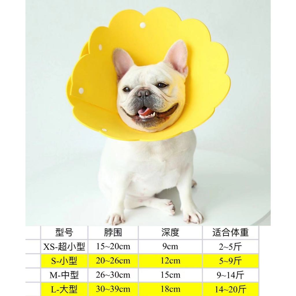 คอลล่าแบบโฟม น่ารัก มี4ไซส์ XS,S,M,L **สินค้าพร้อมส่ง** - รูปที่ 7