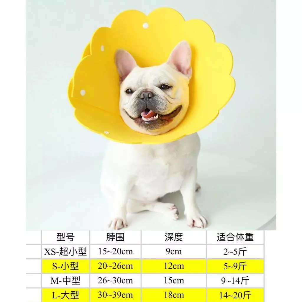 คอลล่าแบบโฟม น่ารัก มี4ไซส์ XS,S,M,L **สินค้าพร้อมส่ง** thumbnail 10