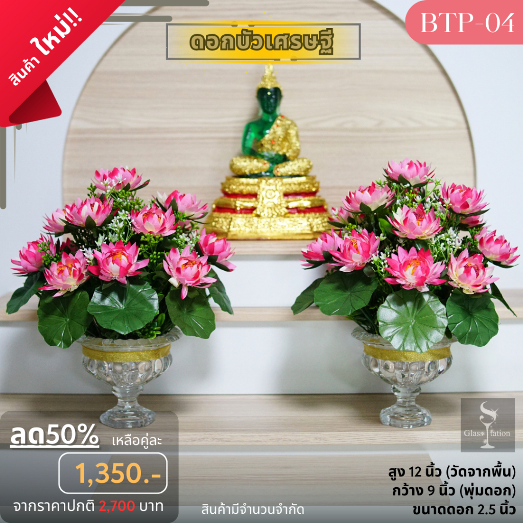 BTP-04 บัวเศรษฐีพุ่มกลมสีชมพู สูง12 นิ้วพุ่มกว้าง 9 นิ้ว