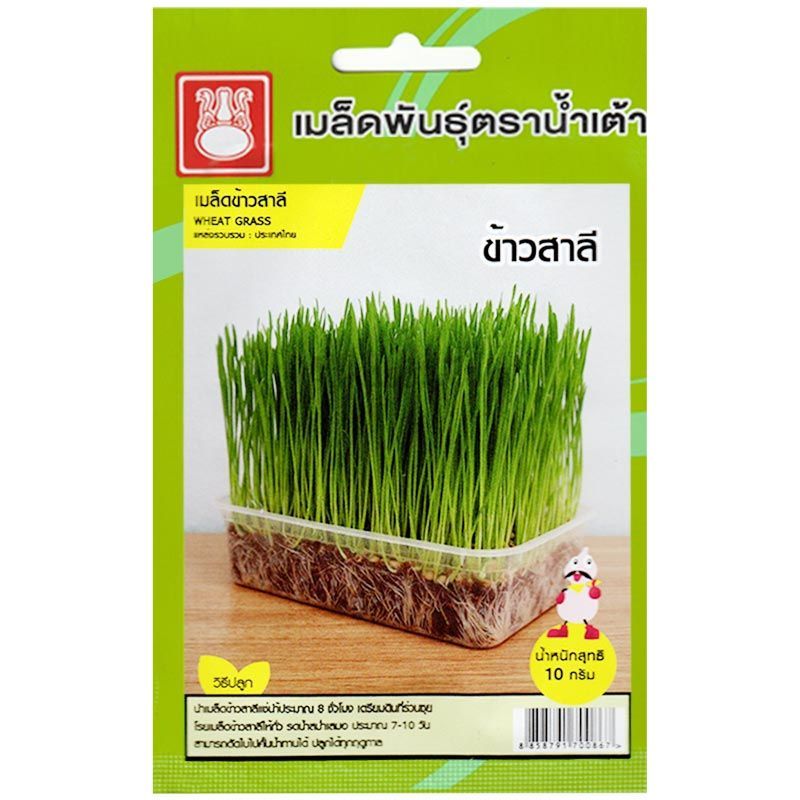 เมล็ดข้าวสาลี ตราน้ำเต้า