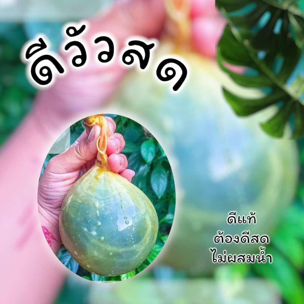 ดีวัว ดีวัวแท้ ดีสด น้ำดีวัวขม ไม่ผสมสารใดๆ 100% (น้ำหนัก 1 กิโลกรัม)