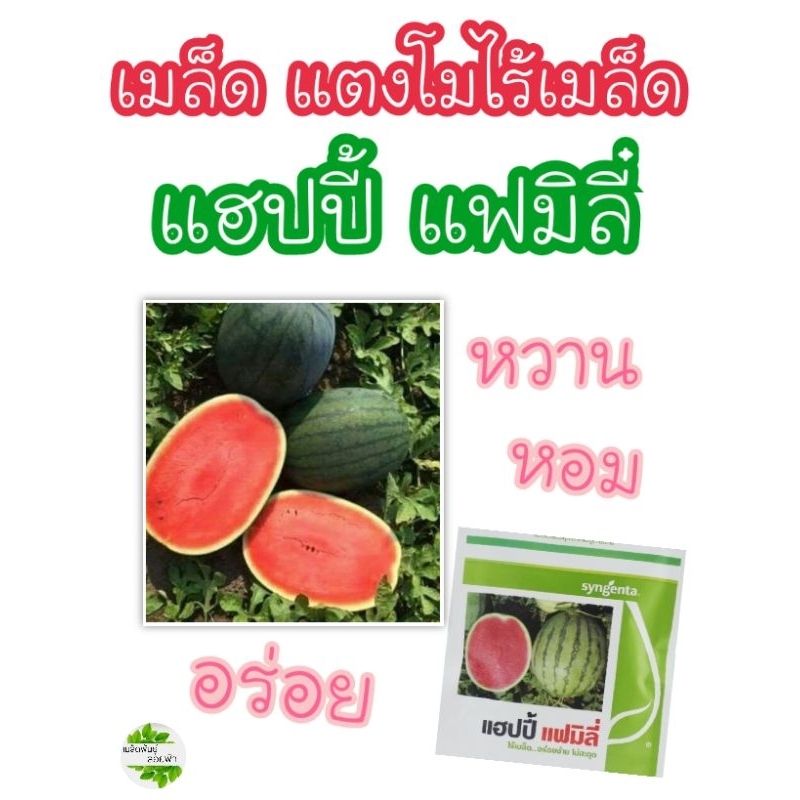 เมล็ดพันธุ์แตงโม ไร้เมล็ด แฮปปี้ แฟมิลี่ 10เมล็ดเมล็ดเคลือบ คุณภาพสูง