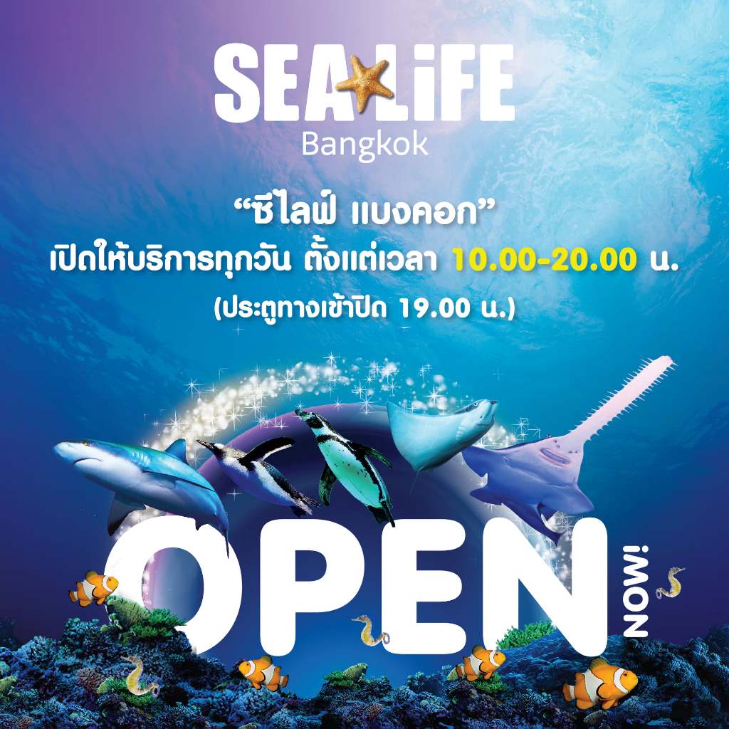 พร้อมส่ง รับโค้ดทันที* อันดับ1 ถูกที่สุด Sealife Ocean World บัตรเข้าชม สยามพารากอน