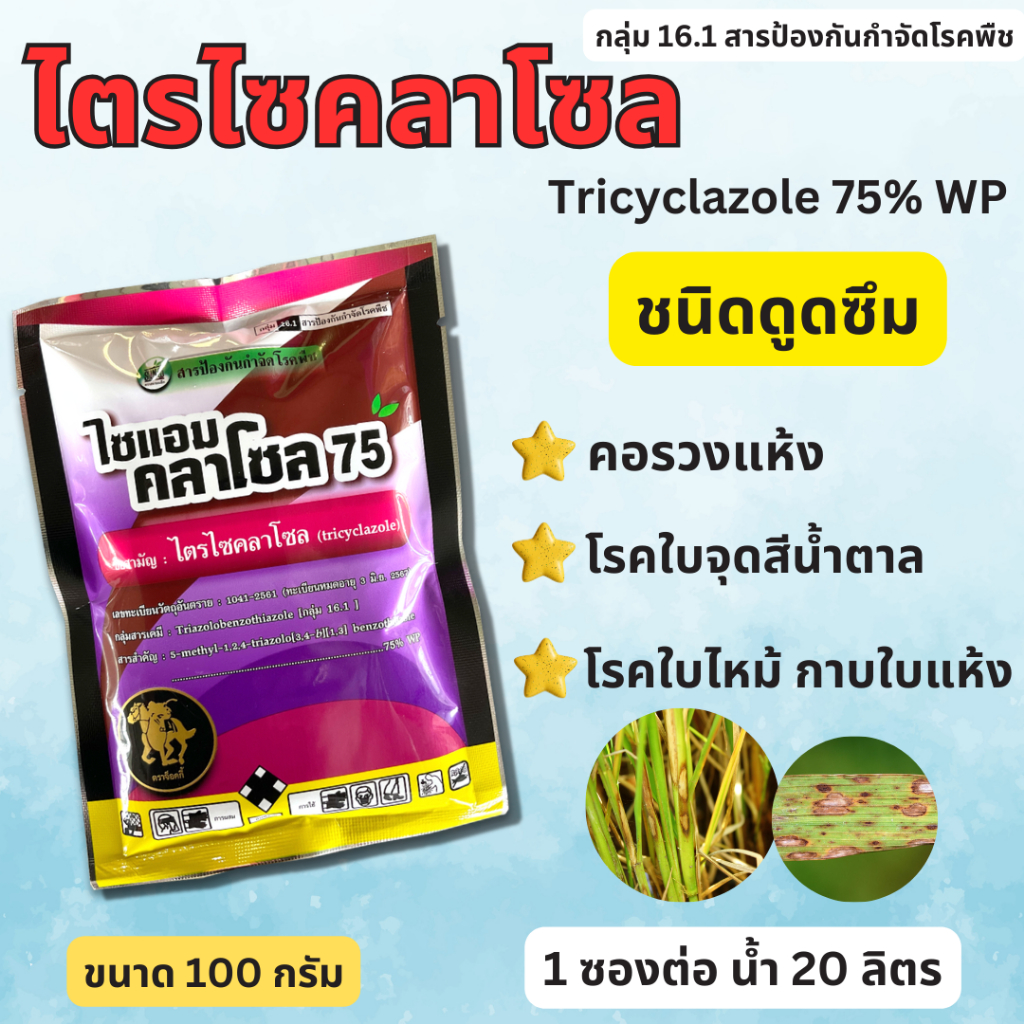 ไตรไซคลาโซล 75% WP 100g. บีม โรคใบไหม้ในข้าว ข้าวใบไหม้ โรคใบไหม้ โรคใบไหม้ ขอบใบไหม้ ปลายใบไม้ ใบเหลืองจากเชื้อราใบไหม้