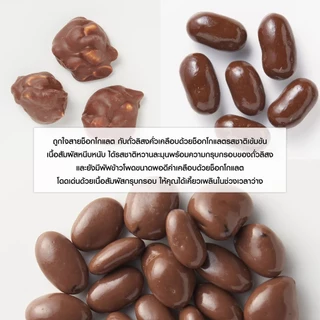 MUJI มูจิ ช็อคโกแลต พีนัทช็อคโกแลต peanut chocolate คอร์น สแน็ค ช็อคโกแลต ช็อคโกแลตเรซิ่น ข้าวพอง ข้าวอบ