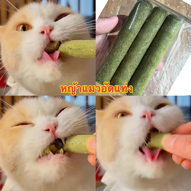 หญ้าแมวอัดแท่ง ผสมไก่และไข่ ต้นข้าวสาลี ขนมแมว