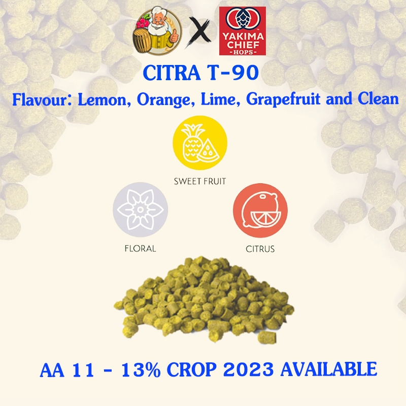 ซีตร้าฮอปส์ Citra (US) PELLET HOPS (T90) Crop Year 2023 hopsทำเบียร์ hops beer ฮอปทำเบียร์ hops citra hopT90 hopsทำเบี
